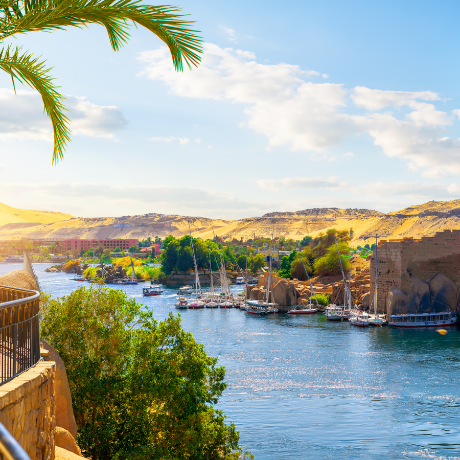  L'Égypte - Rehana Resort